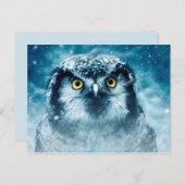 Winterkauz Postkarte (Vorne/Hinten)