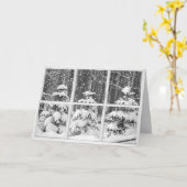 Winterkiefern im Fenster Karte (Gelbe Blume)