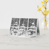 Winterkiefern im Fenster Karte (Gelbe Blume)