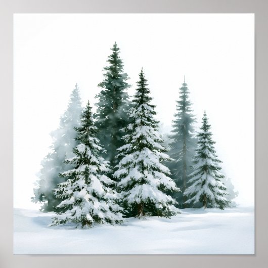 Winterkiefern Poster (Vorne)