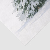 Winterkiefern Seidenpapier (Detail)