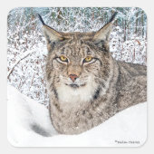 "Winterkind" Quadratischer Aufkleber (Vorderseite)