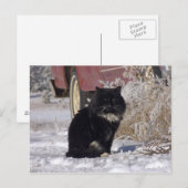 Winterkitty Postkarte (Vorne/Hinten)