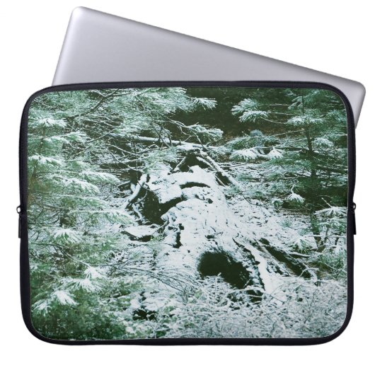 Winterkrieger...... Laptopschutzhülle (Vorderseite)