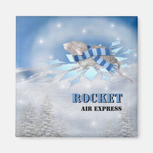 Winterland Journey Magnet (Vorne)