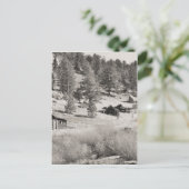 Winterland Postkarte (Stehend Vorderseite)