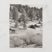 Winterland Postkarte (Vorderseite)