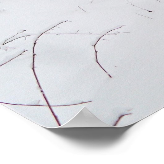 Winterlandeposter Poster (Ecke)