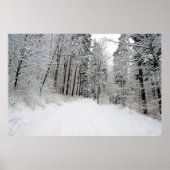 Winterlandeposter Poster (Vorne)