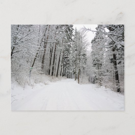 Winterlandepostkarte Postkarte (Vorderseite)