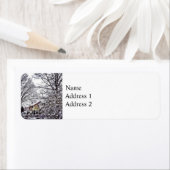 Winterlandschaft (Insitu)