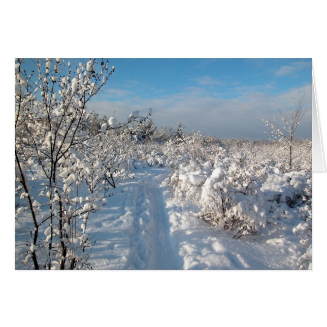 Winterlandschaft (Vorderseite (Horizontal))