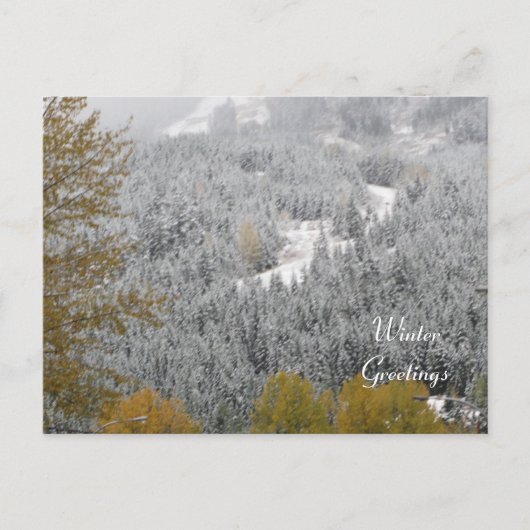 Winterlandschaft bei Whistler, B.C. Postkarte (Vorderseite)