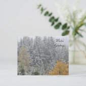 Winterlandschaft bei Whistler, B.C. Postkarte (Stehend Vorderseite)