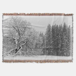 Winterlandschaft Decke