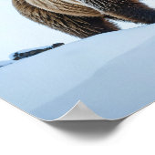 Winterlandschaft des Braunbären Poster (Ecke)