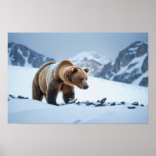 Winterlandschaft des Braunbären Poster (Vorne)