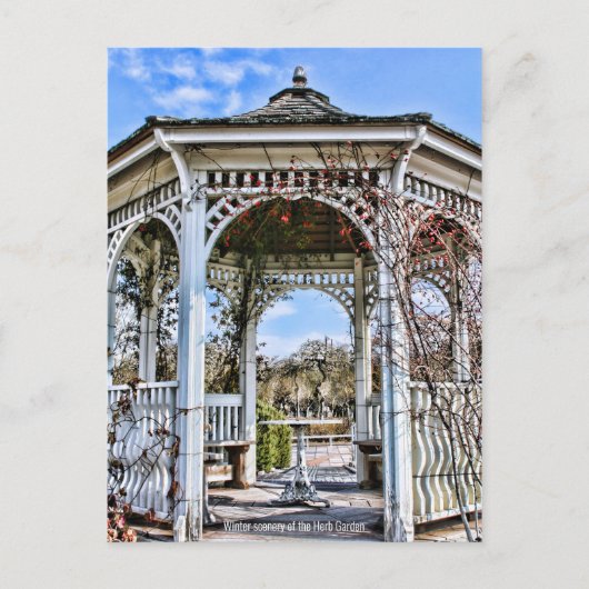 Winterlandschaft des Kräutergartens [Postkarte] Postkarte (Vorderseite)