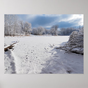 Winterlandschaft entlang des Teichs und der Wälder Poster