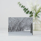 Winterlandschaft Foto Postkarte (Stehend Vorderseite)
