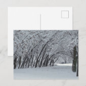 Winterlandschaft Foto Postkarte (Vorne/Hinten)