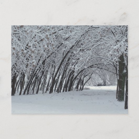 Winterlandschaft Foto Postkarte (Vorderseite)