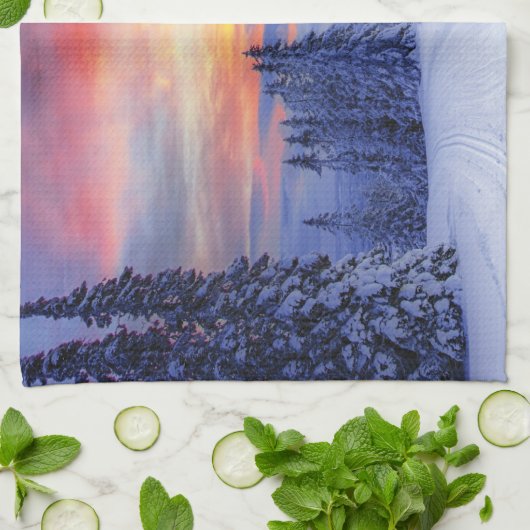 Winterlandschaft Geschirrtuch (Gefaltet)