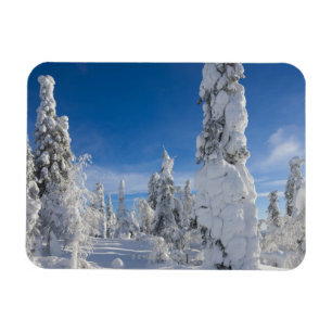 Winterlandschaft in Lappland Magnet