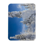 Winterlandschaft in Lappland Magnet (Vertikal)