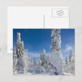Winterlandschaft in Lappland Postkarte (Vorne/Hinten)