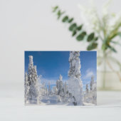 Winterlandschaft in Lappland Postkarte (Stehend Vorderseite)