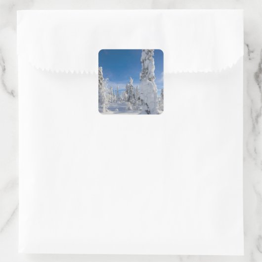 Winterlandschaft in Lappland Quadratischer Aufkleber (Tasche)