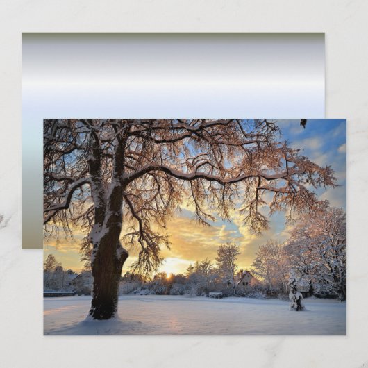 Winterlandschaft in Lettland (Vorne/Hinten)