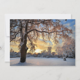 Winterlandschaft in Lettland