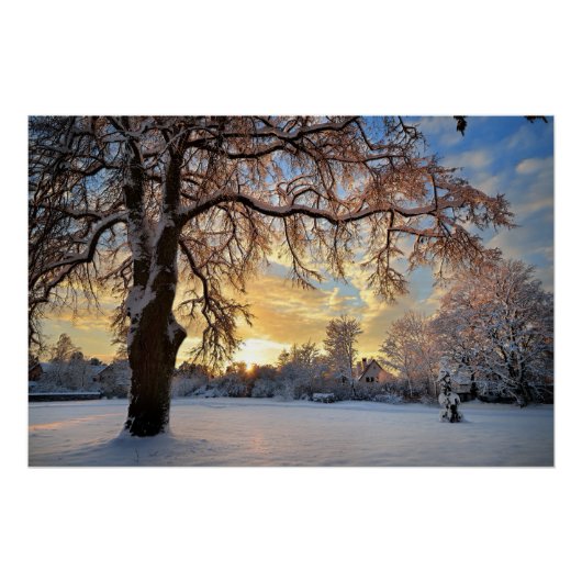 Winterlandschaft in Lettland Poster (Vorderseite)