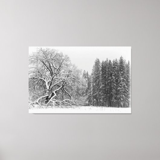 Winterlandschaft Leinwanddruck (Vorderseite)
