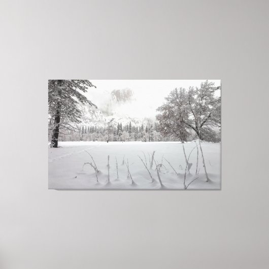 Winterlandschaft Leinwanddruck (Vorderseite)