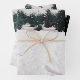 Winterlandschaft mit Lärchen im Schnee Geschenkpapier Set