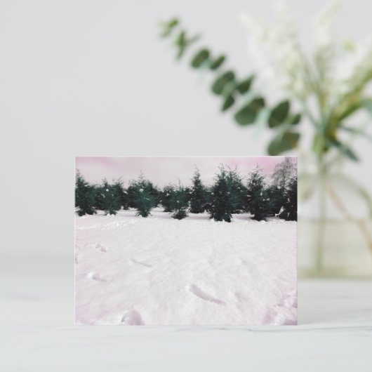 Winterlandschaft mit Lärchen im Schnee Postkarte (Stehend Vorderseite)
