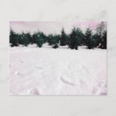 Winterlandschaft mit Lärchen im Schnee Postkarte (Vorderseite)
