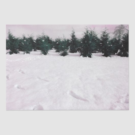 Winterlandschaft mit Lärchen im Schnee Seidenpapier (Vorderseite)