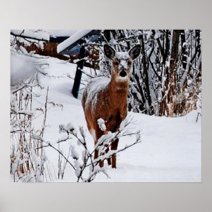 Winterlandschaft mit Rotwild Wert Poster Papier