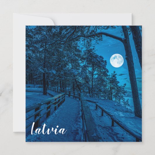 Winterlandschaft mit schneebedecktem Pinienwald (Vorderseite)