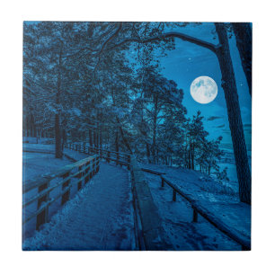 Winterlandschaft mit schneebedecktem Pinienwald Fliese