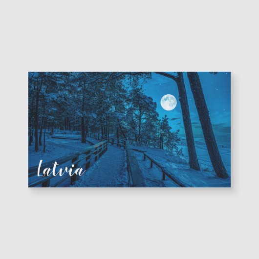 Winterlandschaft mit schneebedecktem Pinienwald Magnetkarte (Vorderseite)