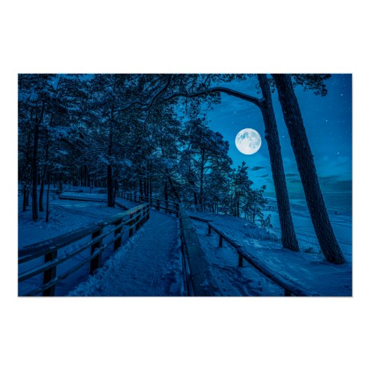 Winterlandschaft mit schneebedecktem Pinienwald Poster (Vorderseite)