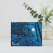 Winterlandschaft mit schneebedecktem Pinienwald Postkarte (Stehend Vorderseite)