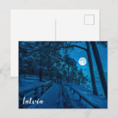 Winterlandschaft mit schneebedecktem Pinienwald Postkarte (Vorne/Hinten)