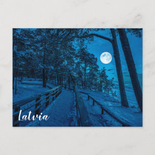 Winterlandschaft mit schneebedecktem Pinienwald Postkarte