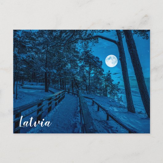 Winterlandschaft mit schneebedecktem Pinienwald Postkarte (Vorderseite)
